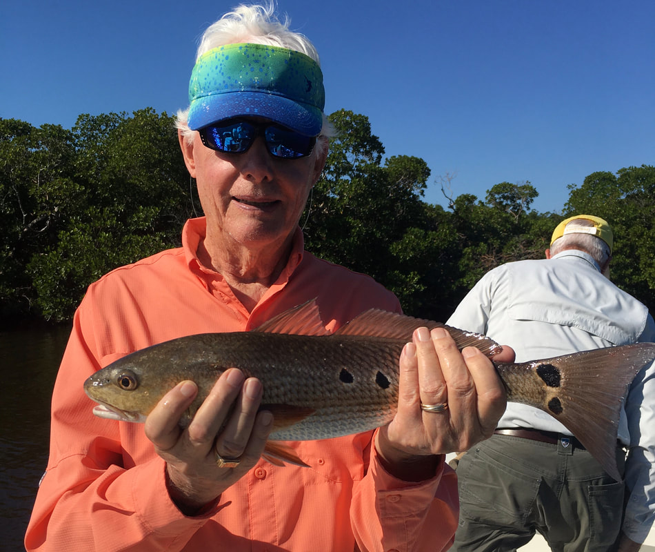 Naples, FL Winter Fishing Report  Naples Fishing Charters with
